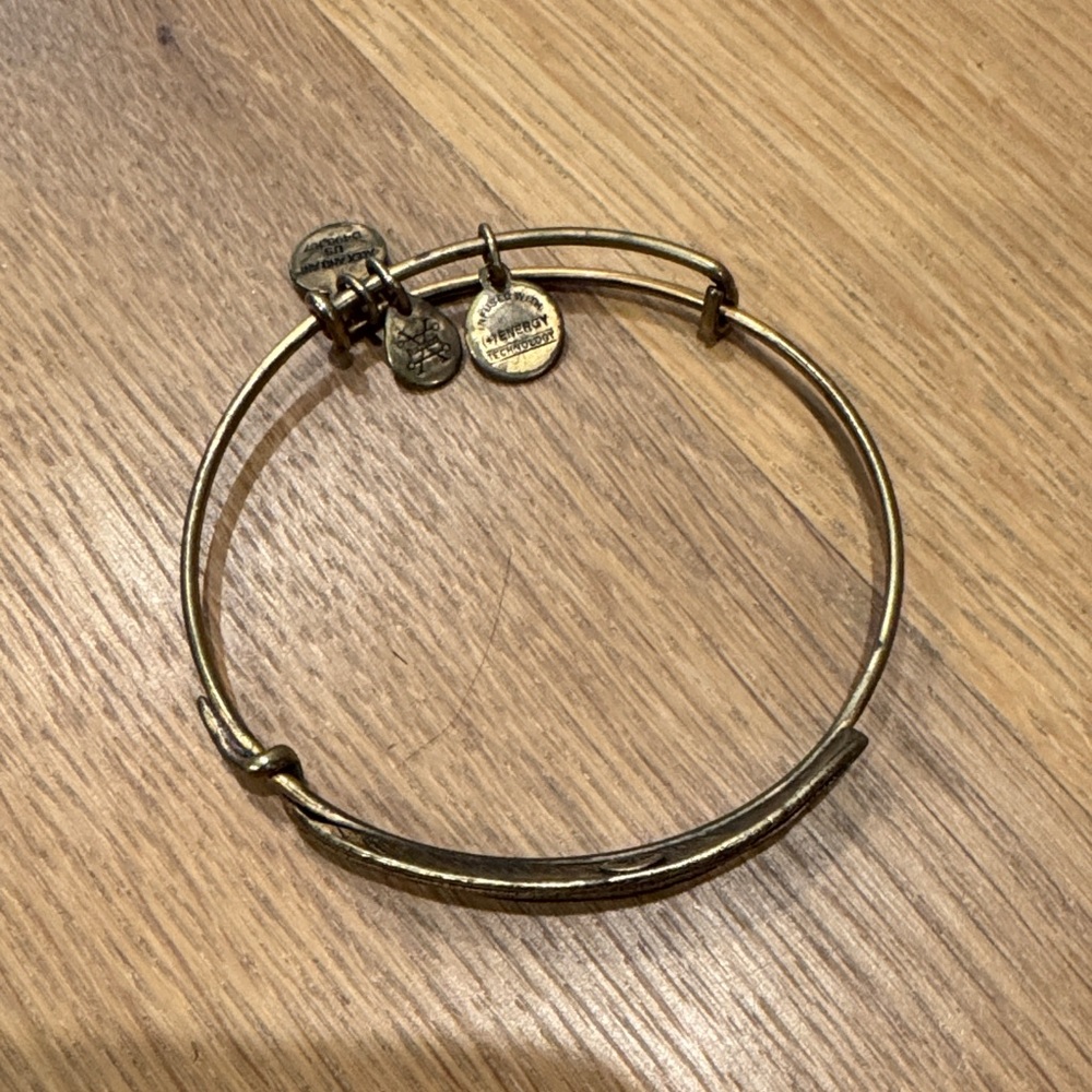 Alex and Ani Gold feather Charm Bracelet